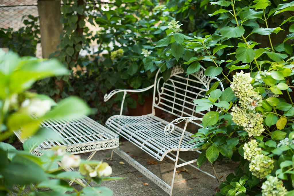 Frühstückspension Le Ortensie Di Via Rossetti Triest